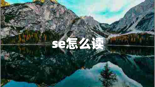 se怎么读