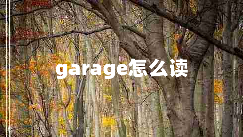 garage怎么读