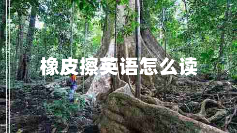 橡皮擦英语怎么读 橡皮擦英语怎么读