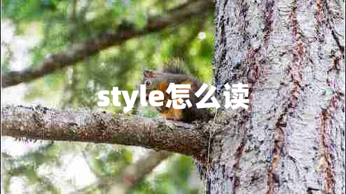 style怎么读