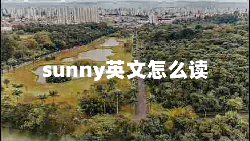 sunny英文怎么读