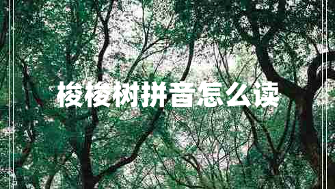 梭梭树拼音怎么读