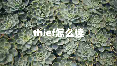 thief怎么读