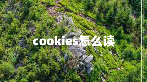 cookies怎么读