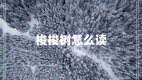 梭梭树怎么读