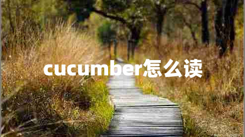 cucumber怎么读