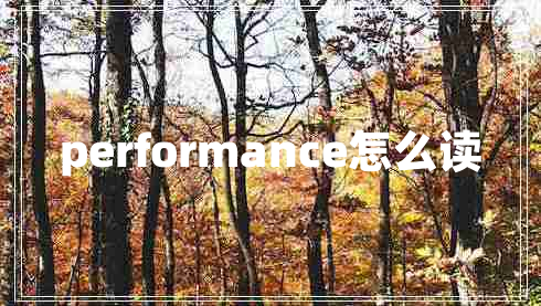 performance怎么读