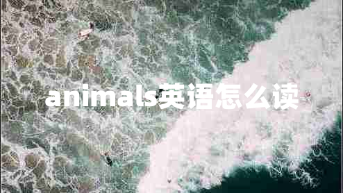 animals英语怎么读