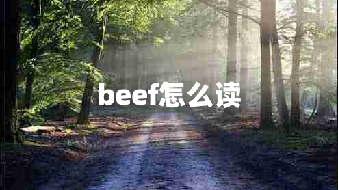 beef怎么读