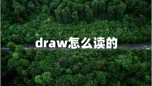 draw怎么读的