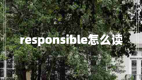 responsible怎么读