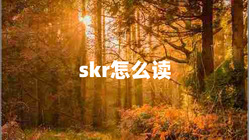 skr怎么读