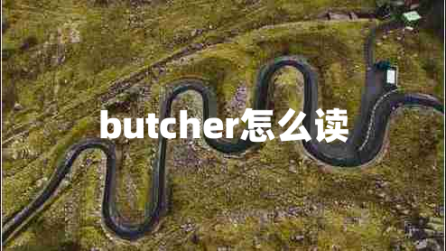 butcher怎么读