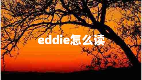 eddie怎么读