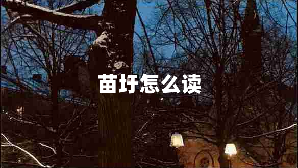 苗圩怎么读