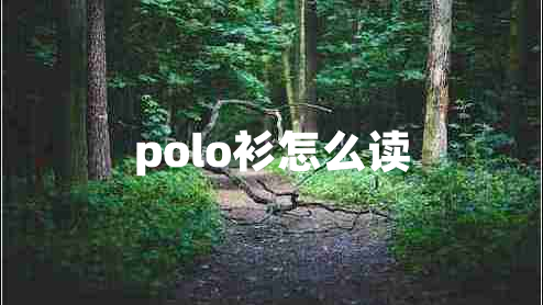 polo衫怎么读