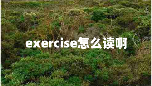 exercise怎么读啊