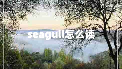 seagull怎么读