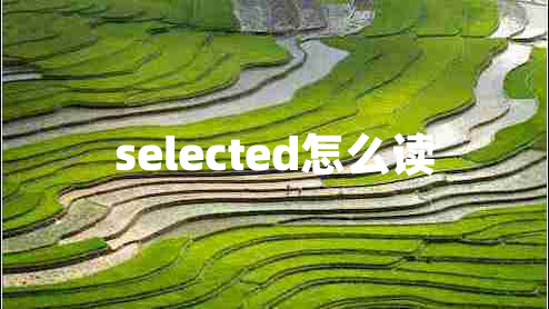 selected怎么读
