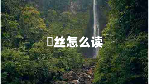 屌丝怎么读