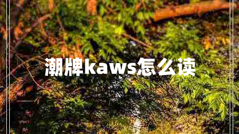 潮牌kaws怎么读