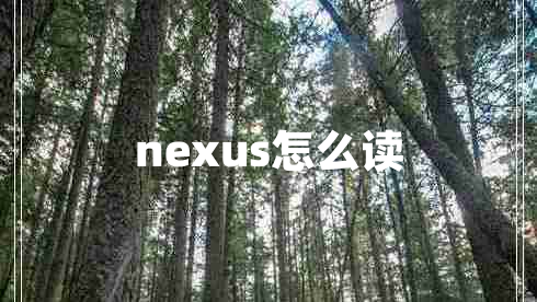 nexus怎么读