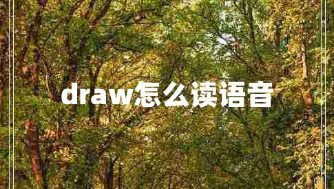 draw怎么读语音