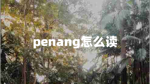 penang怎么读