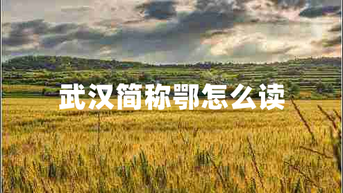 武汉简称鄂怎么读