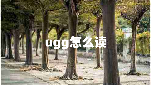 ugg怎么读