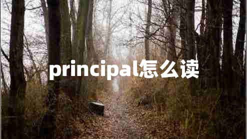 principal怎么读