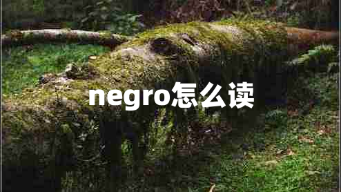 negro怎么读