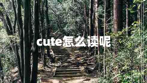 cute怎么读呢