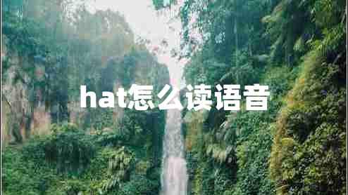 hat怎么读语音