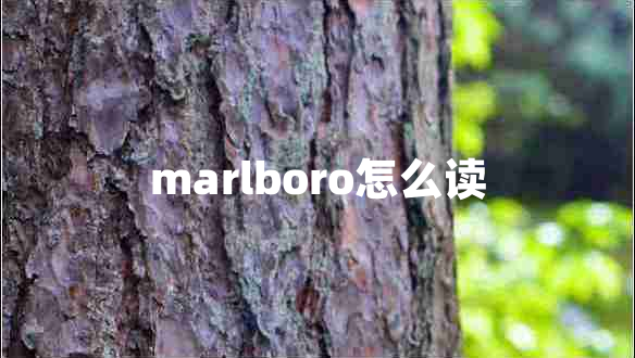 marlboro怎么读