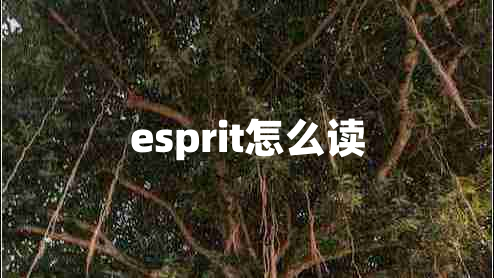 esprit怎么读