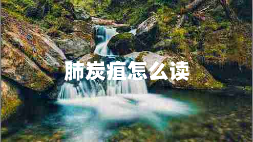 肺炭疽怎么读