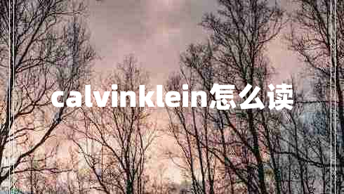 calvinklein怎么读