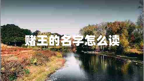 赌王的名字怎么读