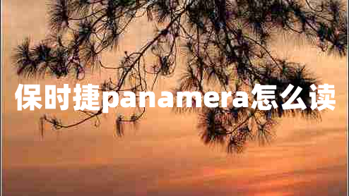 保时捷panamera怎么读