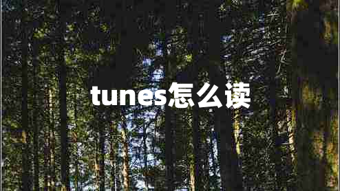 tunes怎么读