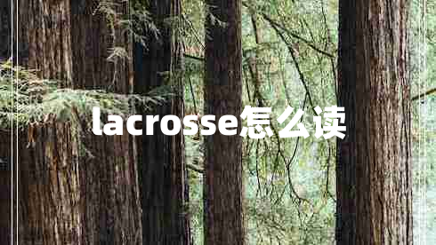 lacrosse怎么读