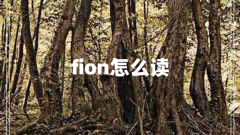 fion怎么读