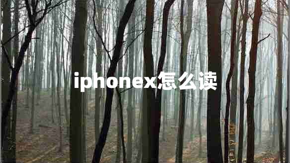 iphonex怎么读