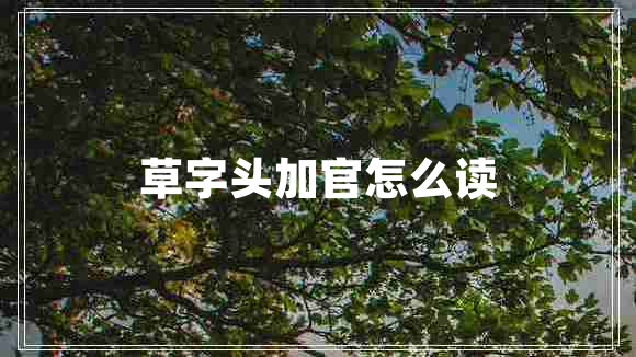 草字头加官怎么读