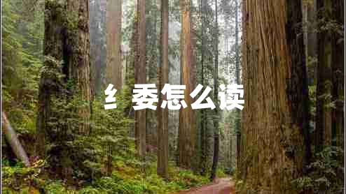 纟委怎么读 纟委怎么读