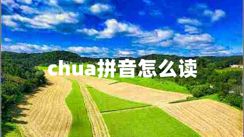 chua拼音怎么读