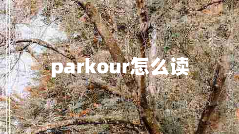 parkour怎么读