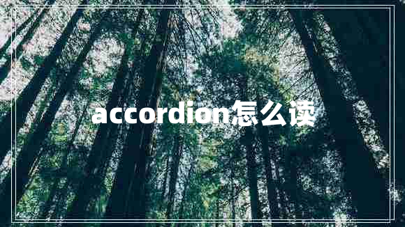 accordion怎么读 accordion怎么读