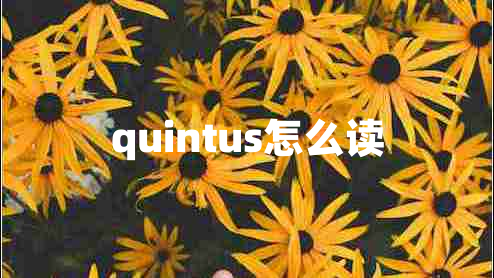 quintus怎么读